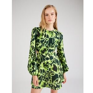 The wolf gang Light green Sofia dress NWT Sz S